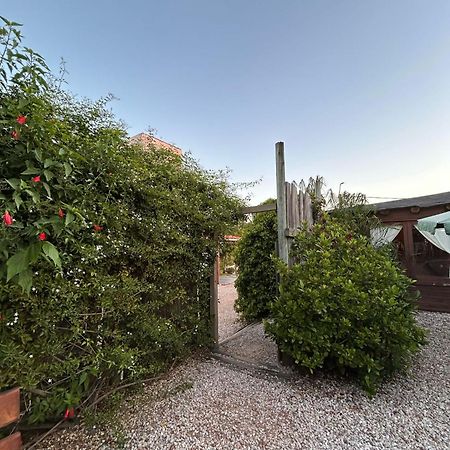 Posada Cova Del Sol ラ・ペドレラ エクステリア 写真