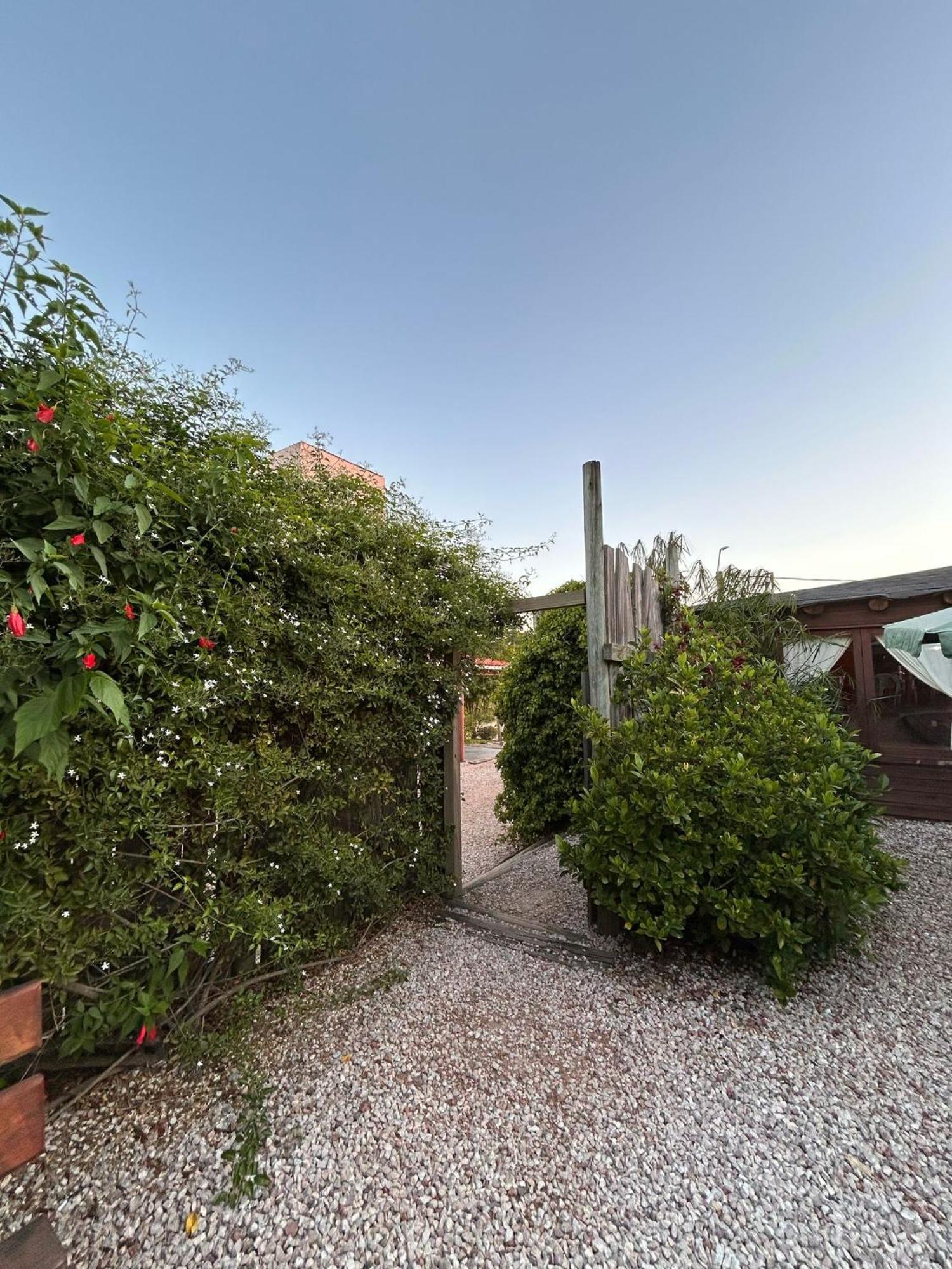 Posada Cova Del Sol ラ・ペドレラ エクステリア 写真