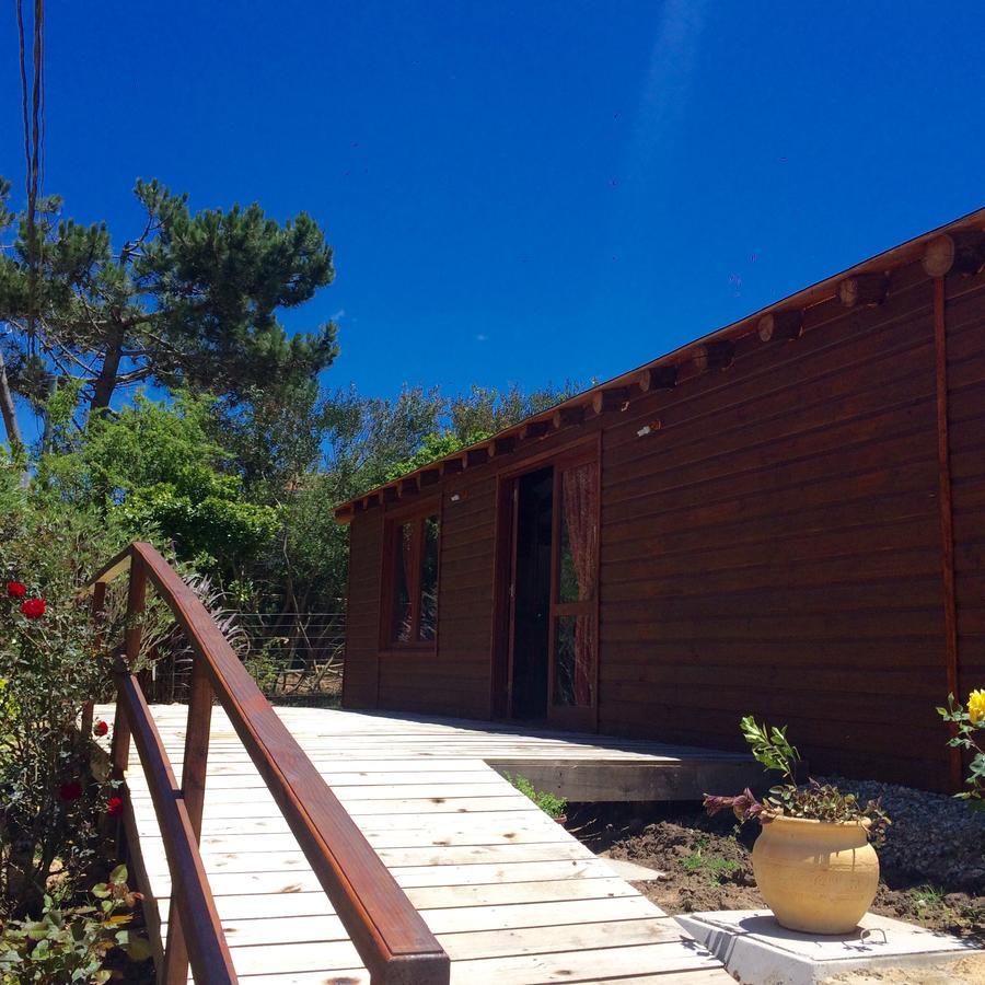 Posada Cova Del Sol ラ・ペドレラ エクステリア 写真