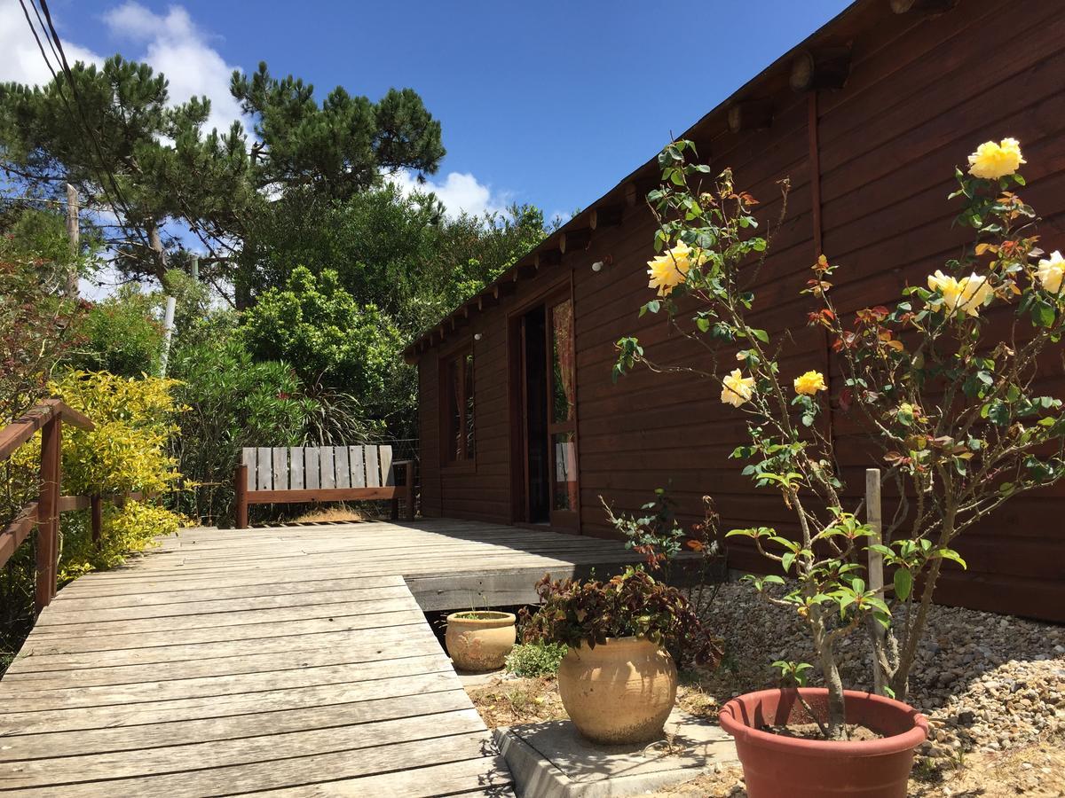 Posada Cova Del Sol ラ・ペドレラ エクステリア 写真